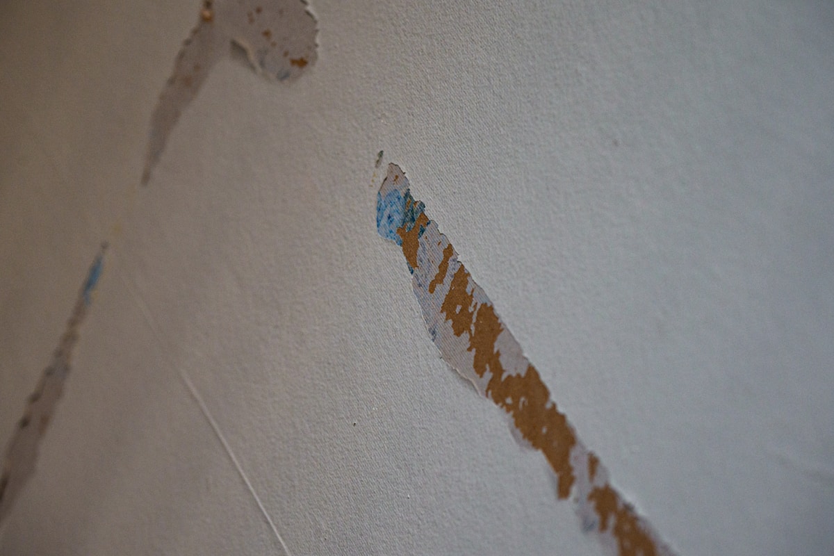 Sewage Cleanup service in White Plains, NY